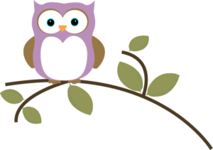 owl on branch