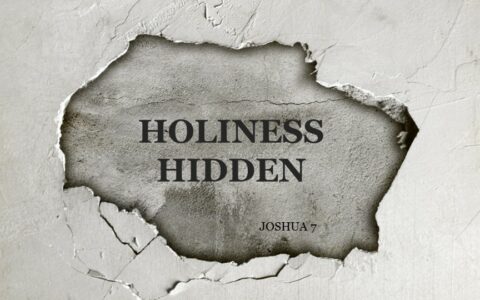 Holiness Hidden