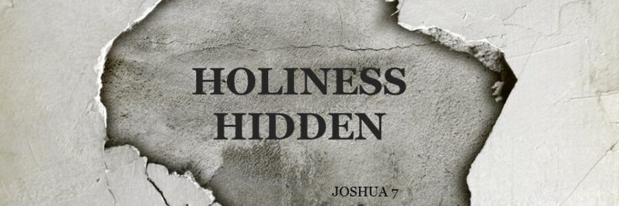 Holiness Hidden