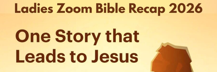 Ladies ZOOM Bible Recap (ZBR)