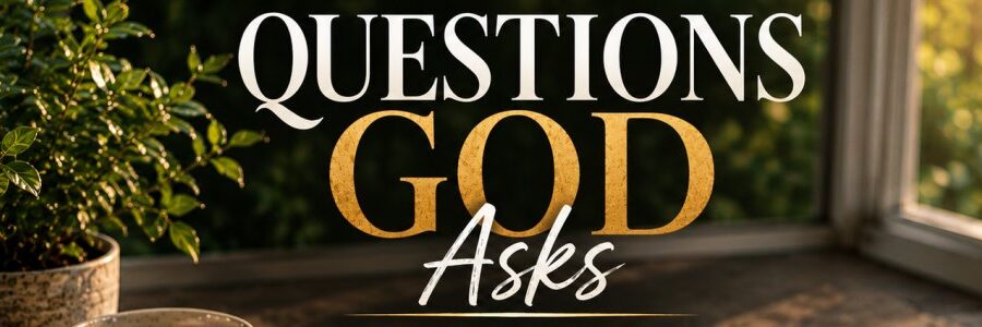 Questions God Asks